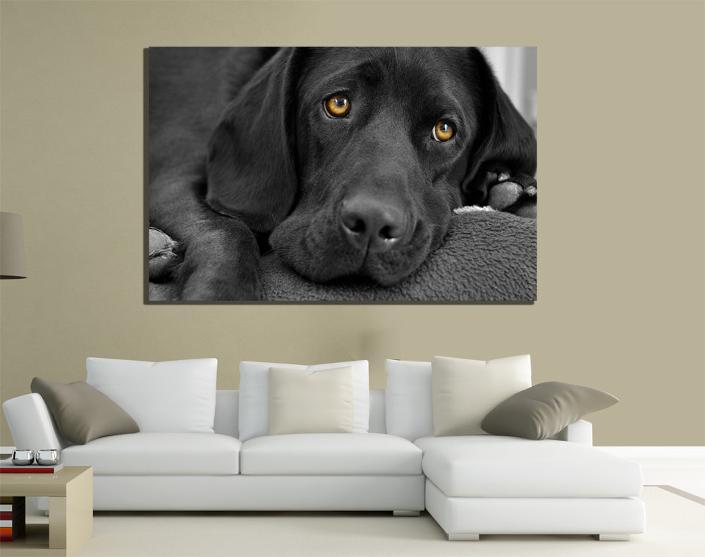 QUADRI MODERNI TELA 100X70 ANIMALI ANIMALS CANE DOG LABRADOR NERO ANIMALISTI