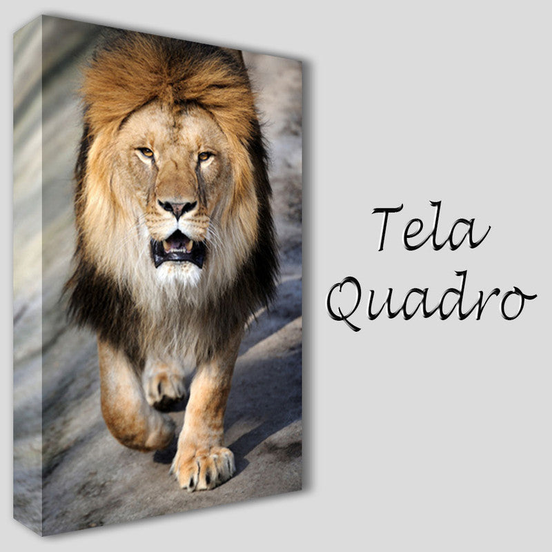 QUADRI MODERNI TELA 100X70 LEONE RE DELLA FORESTA LION ANIMALI ANIMALISTI ARRED