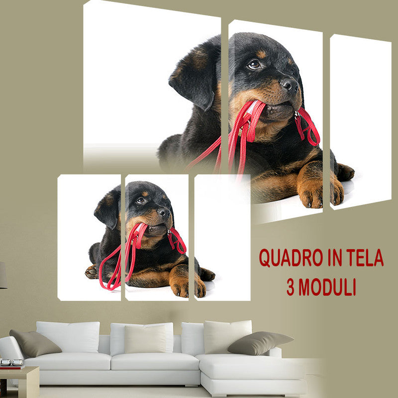 QUADRI MODERNI TELA ARTE 120X90 3PZ ANIMALE HOME CASA CANE DOG MIGLIORE AMICO