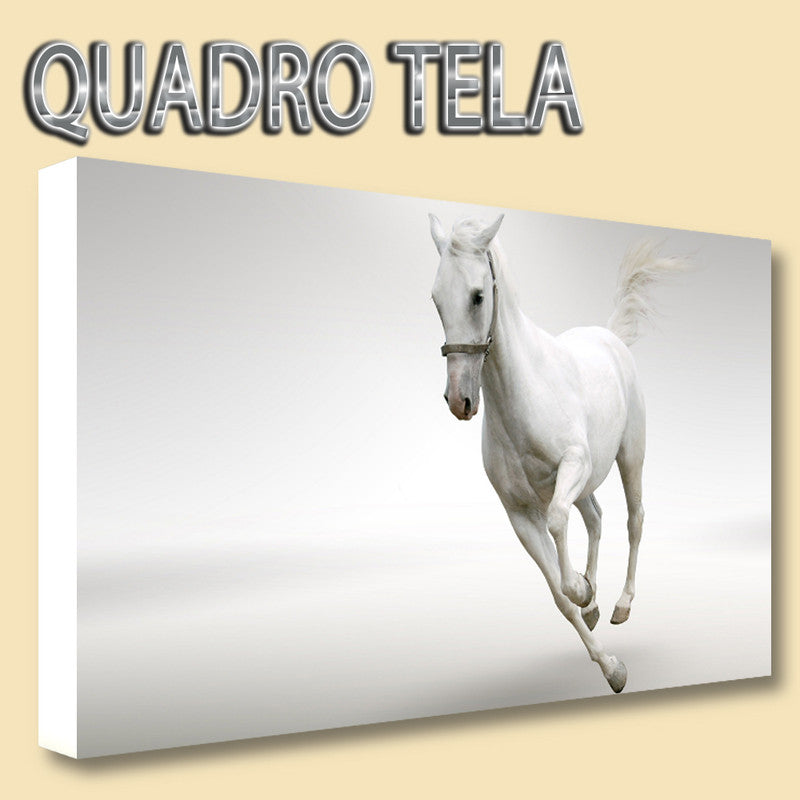 QUADRI MODERNI TELA XXL 200X125 CAVALLO BIANCO PONY WHITE ARTE ARREDO CAVALLERI