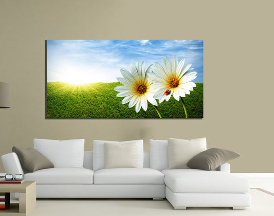 QUADRI MODERNI TELA 100X50  FIORI BIANCHI PRATO NATURA PAESAGGIO ARTE ARREDO