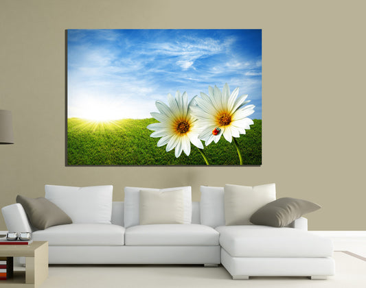 QUADRI MODERNI TELA 100X70 FIORI BIANCHI PRATO NATURA PAESAGGIO ARTE ARREDO