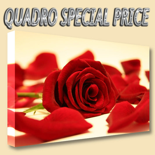 QUADRI MODERNI TELA 30x50 FIORI ROSA ROSSA LOVE AMORE PASSIONE NATURA RED ROSSO