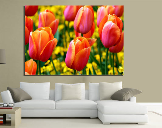 QUADRI MODERNI TELA XXL 200X125 FIORI TULIPANI NATURA COLORI PRIMAVERA ARTE