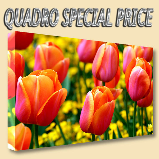 QUADRI MODERNI TELA 30x50 FIORI TULIPANI NATURA COLORI PRIMAVERA ARTE ARREDO