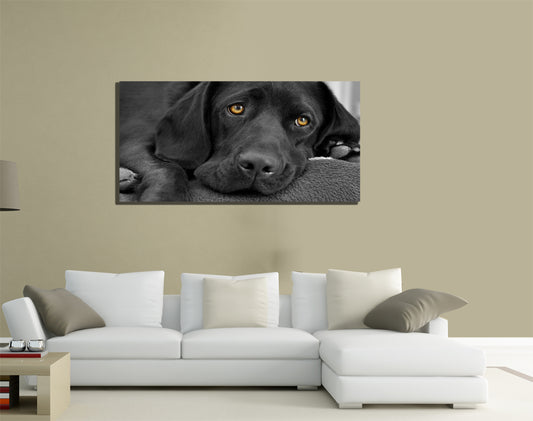 QUADRI MODERNI TELA 100X50 ANIMALI ANIMALS CANE DOG LABRADOR NERO ANIMALISTI