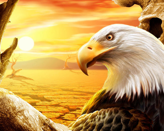 QUADRI MODERNI POSTER 100X70 ANIMALI AQUILA EAGLE STATI UNITI  USA ANIMALISTI