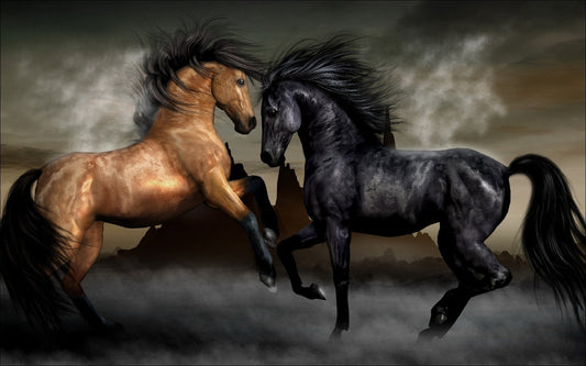 QUADRI MODERNI POSTER 100X70 ANIMALI CAVALLI HORSE GALOPPO EQUITAZIONE  TROTTO