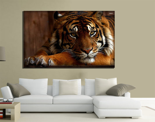 QUADRI MODERNI TELA 100X70 ANIMALI TIGRE TIGER FELINO TIGRATO ASIA BENGASI