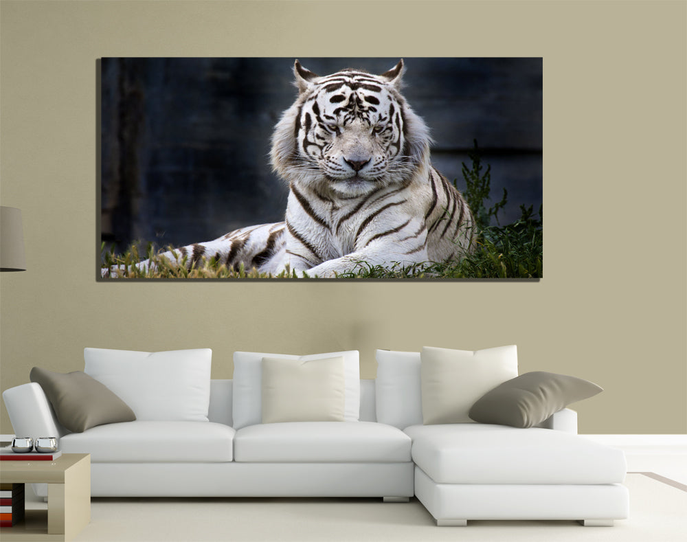 QUADRI MODERNI TELA 100X50 TIGRE BIANCA WHITE TIGER FELINO PANTHERA PREDA ANIMAL